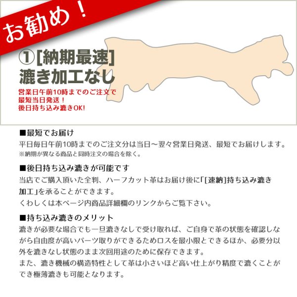 画像3: 【アウトレット】Arnal ロダニル (Prairie) (3)