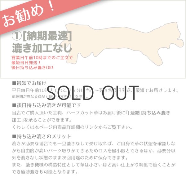 画像3: 【アウトレット】Arnal ロダニル (Luthier) (3)