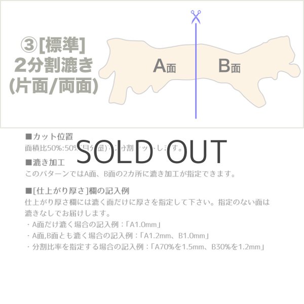 画像5: 【アウトレット】Arnal ロダニル (Luthier) (5)