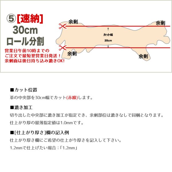 画像6: 【アウトレット】Arnal ロダニル (Prairie) (6)