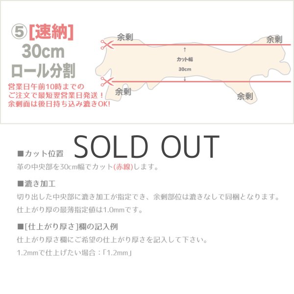 画像6: 【アウトレット】Arnal ロダニル (Luthier) (6)