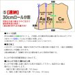 画像7: 【セール】Conceria800 トスカーノボラナート Petrolio (7)