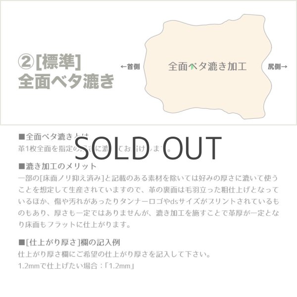 画像4: 【アウトレット】Alran SULLY (Colibri) (4)