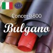 05017 Conceria800 ブルガノ 