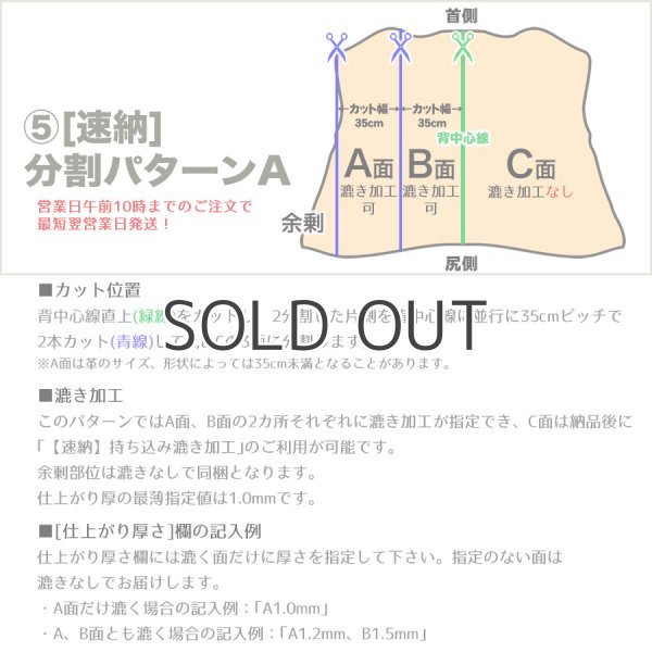 画像7: Conceria800 バケッタ800 (7)