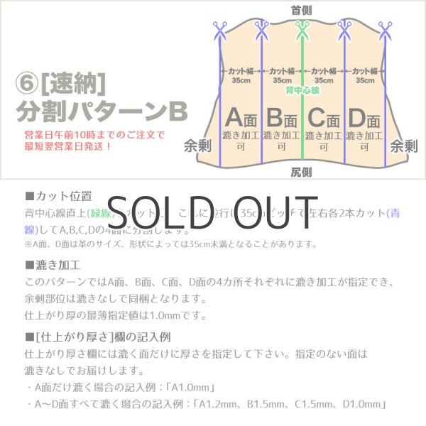 画像8: Conceria800 バケッタ800 (8)