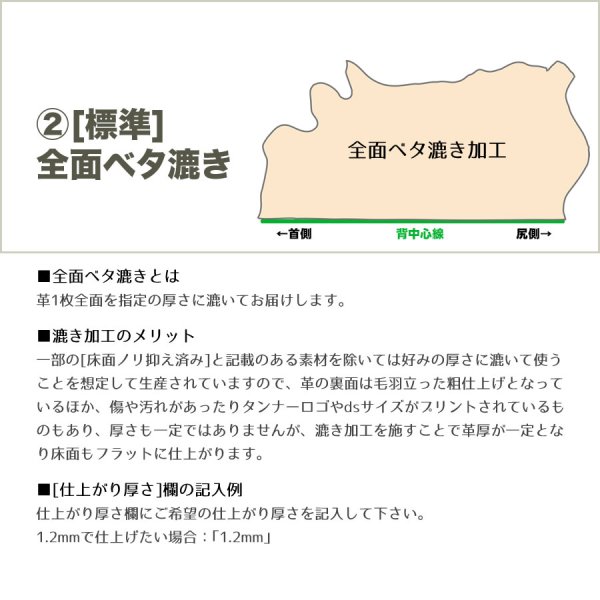 画像4: TFトリヨン(ハーフカット) (4)