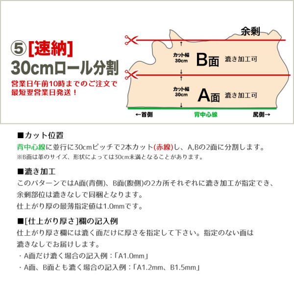 画像7: TFトリヨン(ハーフカット) (7)