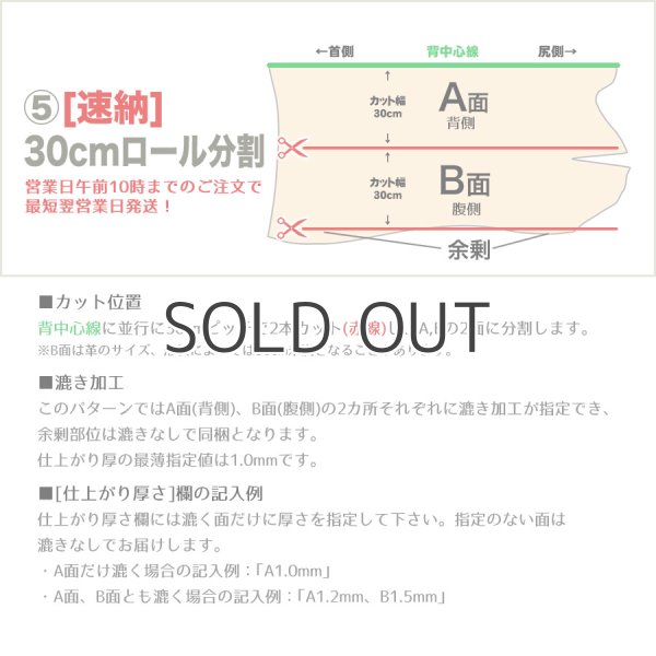 画像7: EUダブルバット(ハーフカット) (7)