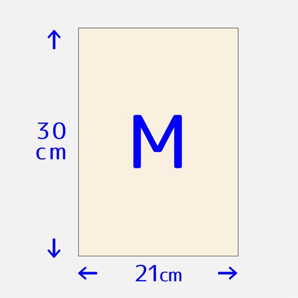 切り革 カットレザー A4 アルラン シュリー シェーブル 山羊革 フランス 革