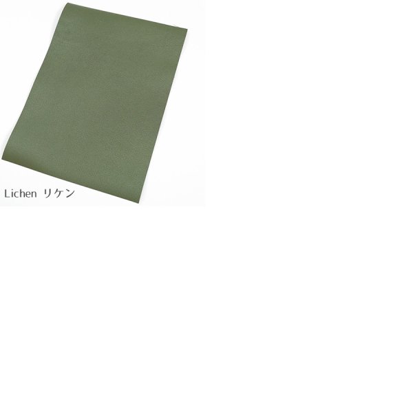 画像11: 定尺裁ち革 Sully (シェーブル シュリー)  (11)