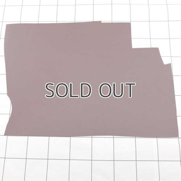 ルージュH2 haas アース derby ヴォーエプソン