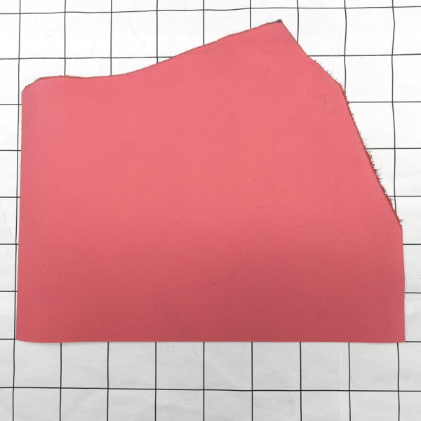 アザレピンク2 haas アース derby ヴォーエプソン
