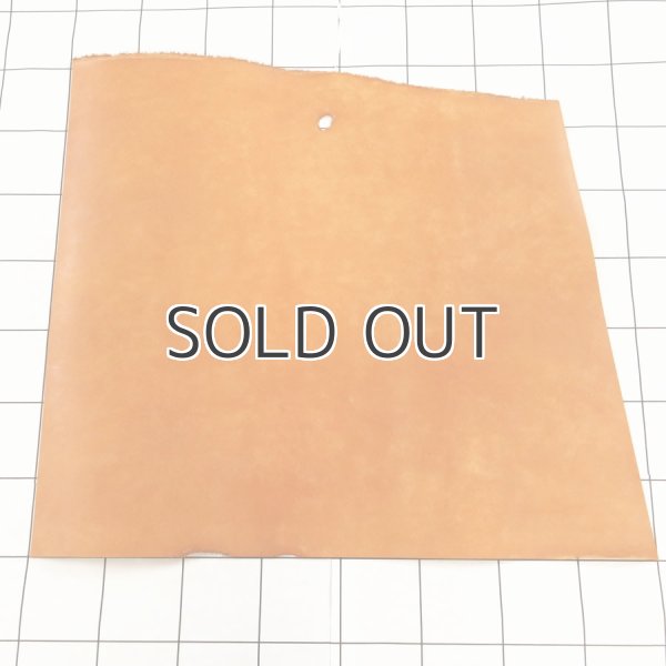 マヤベリー 旧名称プエブロ オレンジ