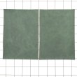 画像1: 【30%OFF!】不定形裁ち革 「バベル」VERDE (1)