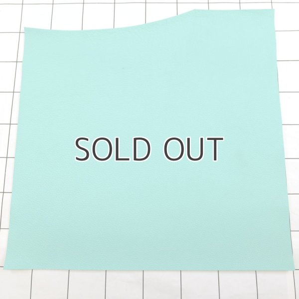 画像1: 不定形裁ち革 「TFトリヨン」 (1)