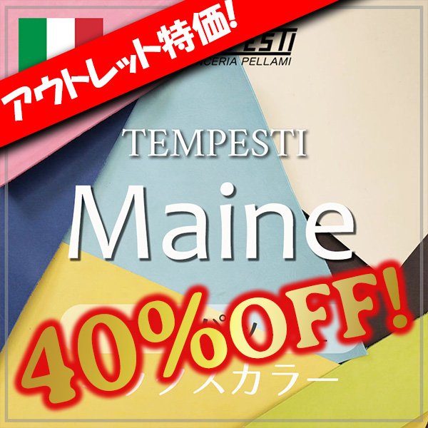 画像1: ハギレパックＬ【Maine(マイネ)色ミックス】 (1)