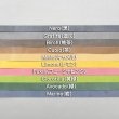 ショルダー 手紐 テンペスティ シビラ
