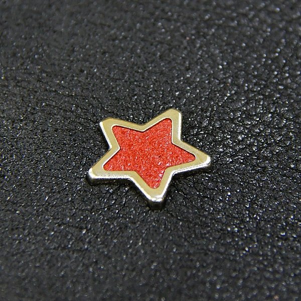 スターインレイスタッズ 使用例