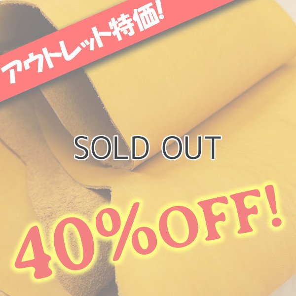 画像1: 【アウトレット】Arnal ロダニル (Jaune) (1)