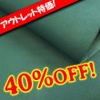 画像1: 【アウトレット】Alran SULLY (Sapin) (1)