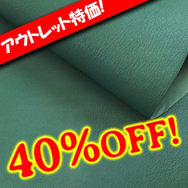 画像1: 【アウトレット】Alran SULLY (Sapin) (1)