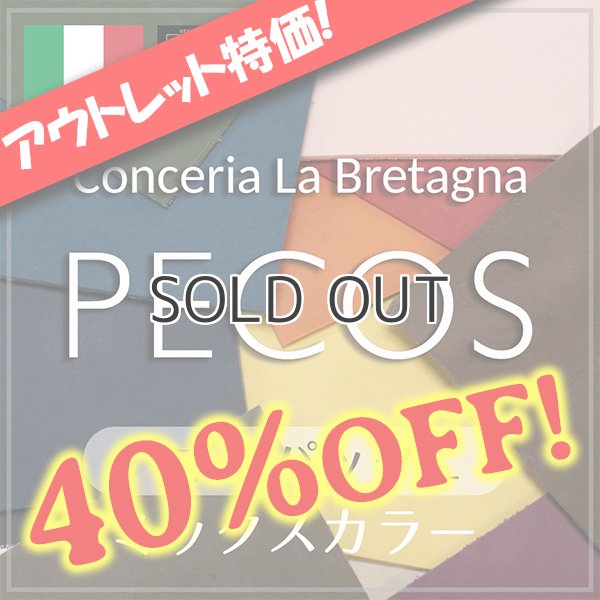 画像1: ハギレパックＬ【PECOS(ペコス)色ミックス】 (1)