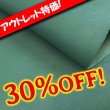 画像1: 【アウトレット】Alran SULLY (Sapin) (1)