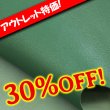 画像1: 【アウトレット】Alran SULLY (Vert Tendre) (1)