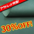 画像1: 【アウトレット】Alran SULLY (Sapin) (1)