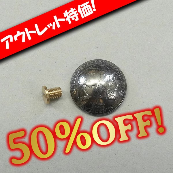 画像1: 【アウトレット】コインコンチョ ジェファーソンバイソン 2005年 (1)