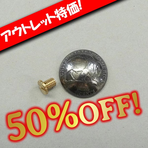 画像1: 【アウトレット】コインコンチョ ジェファーソンバイソン 2005年 (1)