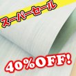 画像1: （セール)【ロール】IL Ponte マヤWAXY (Acqua) (1)