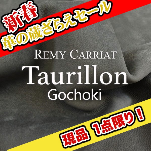 画像1: 【セール】1/2カット Remy Carriat トリヨン・ゴチョキ(Orage) (1)