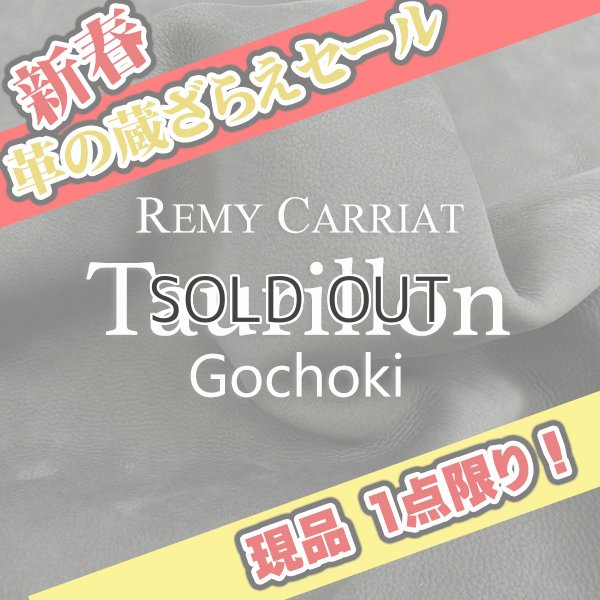 画像1: 【セール】1/2カット Remy Carriat トリヨン・ゴチョキ(Orage) (1)