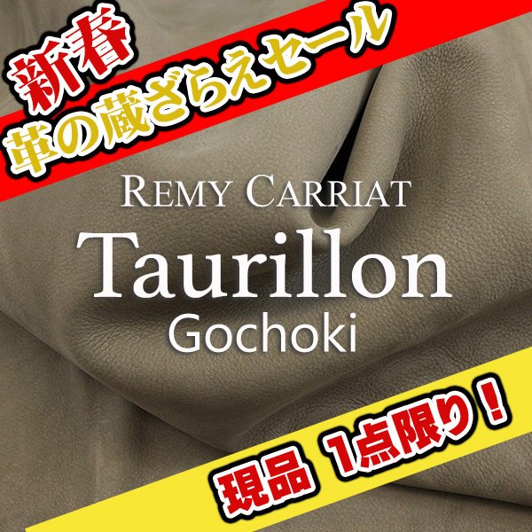 画像1: 【セール】1/2カット Remy Carriat トリヨン・ゴチョキ(Fumee) (1)