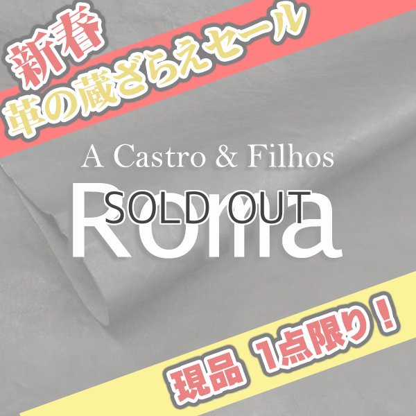 画像1: 【セール】全判 ROMA ローマ(CHARCOAL) (1)