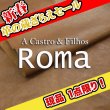 画像1: 【セール】全判 ROMA ローマ(MOCA) (1)