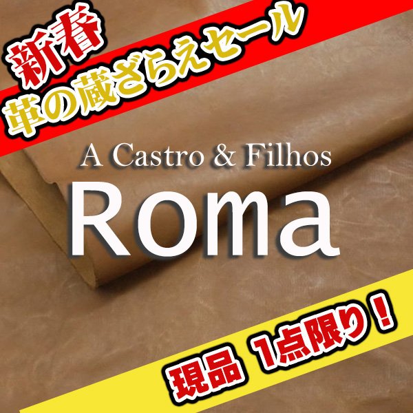 画像1: 【セール】全判 ROMA ローマ(MOCA) (1)
