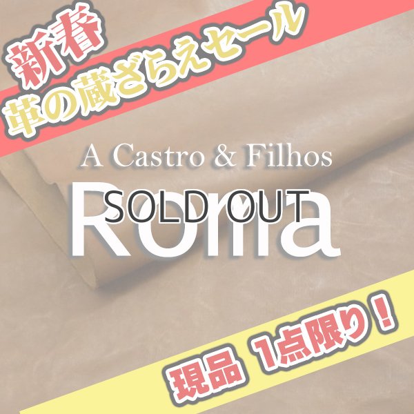 画像1: 【セール】全判 ROMA ローマ(MOCA) (1)