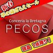 画像1: 【セール】1/2カット PECOS ペコス(Marlboro) (1)