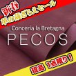 画像1: 【セール】1/2カット PECOS ペコス(Viola) (1)