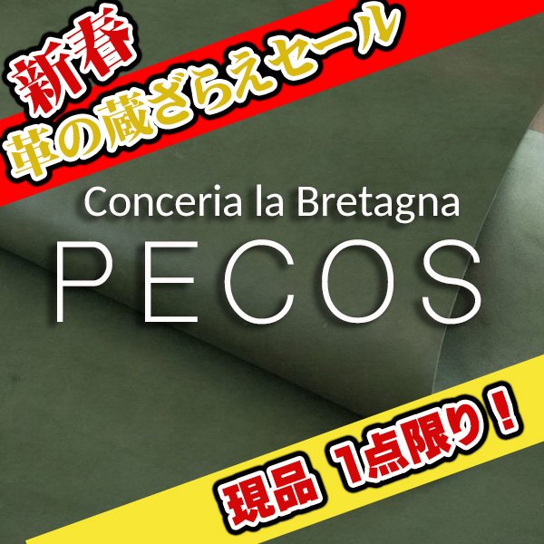 画像1: 【セール】1/2カット PECOS ペコス(Regiment) (1)