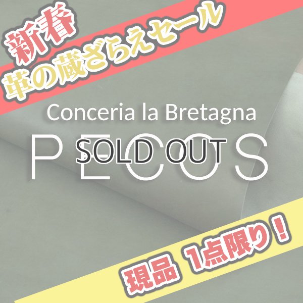 画像1: 【セール】1/2カット PECOS ペコス(Regiment) (1)