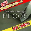 画像1: 【セール】1/2カット PECOS ペコス(Regiment) (1)