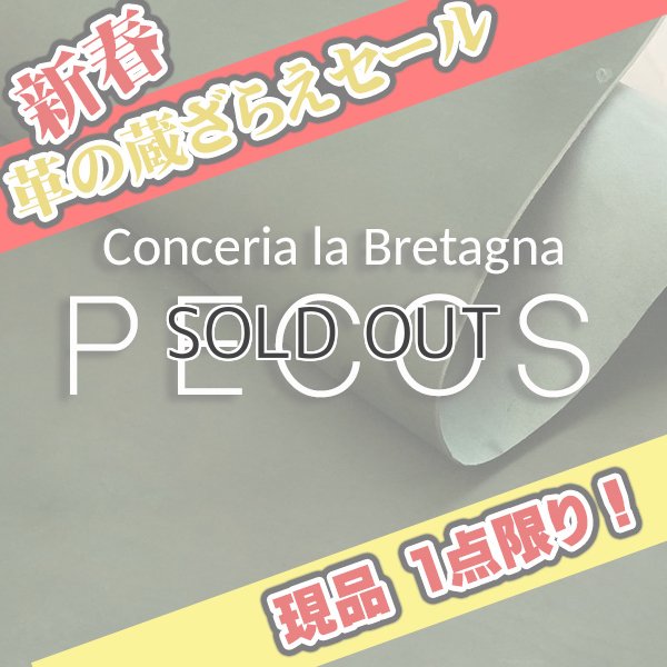 画像1: 【セール】1/2カット PECOS ペコス(Regiment) (1)