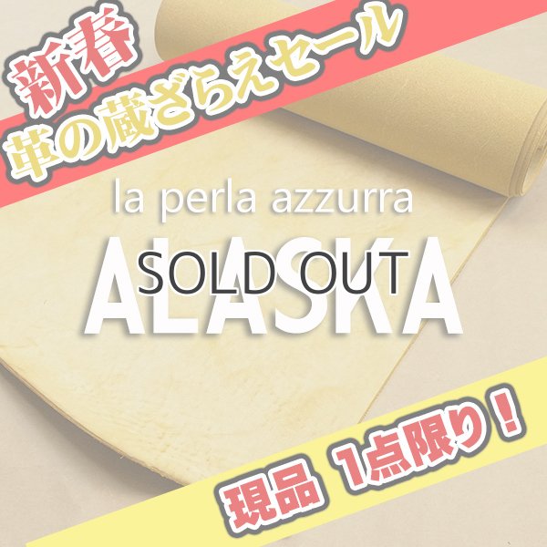 画像1: 【セール】ロール ALASKA アラスカ (SKA40 GIALLO)  (1)