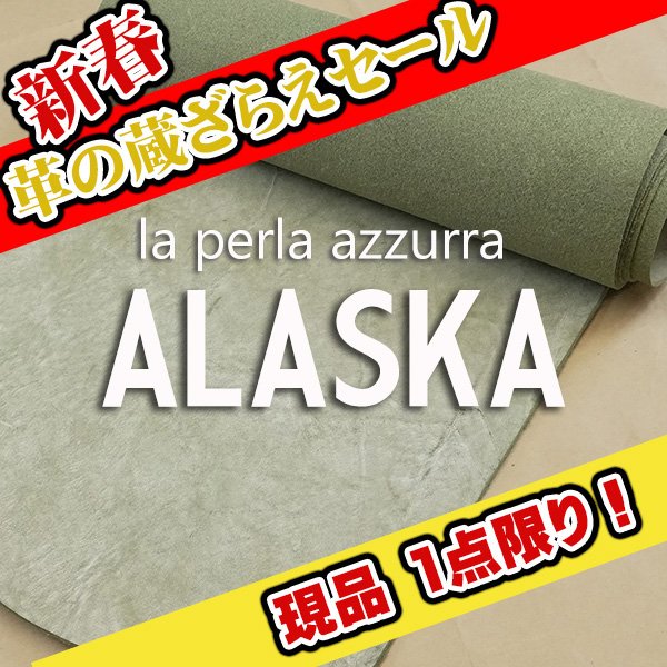 画像1: 【セール】ロール ALASKA アラスカ (SKA43 LATTUGA)  (1)