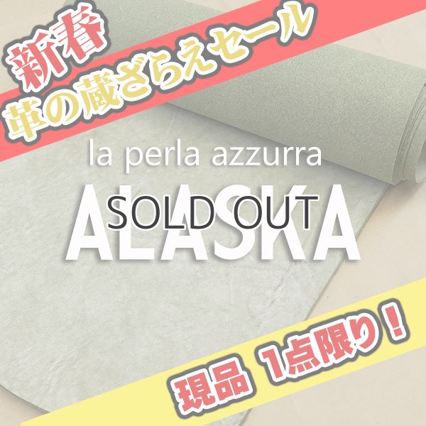 画像1: 【セール】ロール ALASKA アラスカ (SKA43 LATTUGA)  (1)