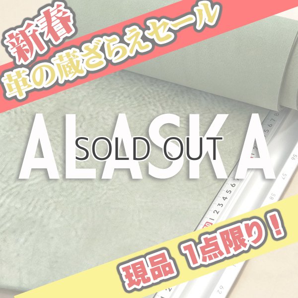 画像1: 【セール】ロール ALASKA アラスカ (SKA43 LATTUGA)  (1)